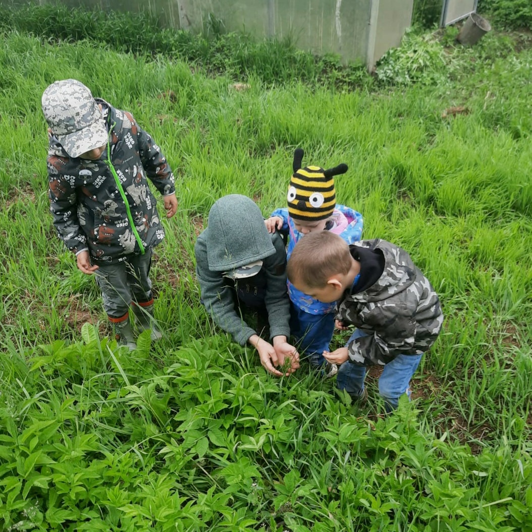 На подворье “Мамина дача” проходят мероприятия проекта “Под моим крылом” |  06.06.2023 | Смоленск - БезФормата